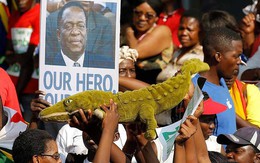 Tân tổng thống Zimbabwe có mang tới sự thay đổi?