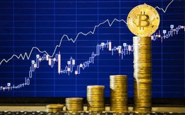 Quên Bitcoin đi, bốn cổ phiếu này đã tăng hơn 1.000% trong năm 2017