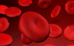 Đi tiểu ra máu là dấu hiệu của nhiều bệnh trọng: Chớ coi thường!