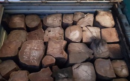 Bắt giữ 2 xe container chở 42 tấn gỗ Giáng Hương Tây Phi