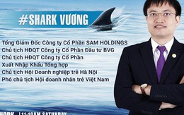 VietinBank chào bán khoản nợ 74 tỷ của công ty do “Shark” Vương làm Chủ tịch