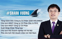 Công ty do Shark Vương làm Chủ tịch bị Vietinbank rao bán khoản nợ 74 tỷ đồng