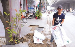 Hà Nội: Bắt đầu khảo sát, thanh tra lát đá vỉa hè