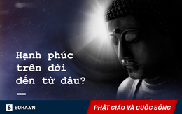 Một góc nhìn từ vụ án bà nội giết cháu 20 ngày tuổi: Làm sao để có Bồ Đề Tâm?