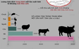 Những điều cực thú vị về tinh dịch không phải ai cũng biết