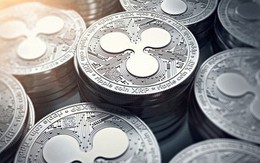 Tăng 7.000%, ripple là đồng tiền số hot không kém bitcoin