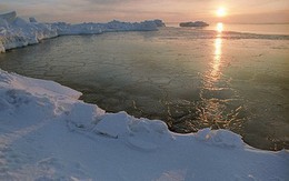 Băng Bắc cực tan với tốc độ nhanh nhất trong 1.500 năm qua