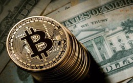 Bitcoin đang “hot” như thế nào với người Việt?