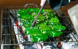 Loại cây mọc hoang ở Việt Nam, khoa học coi là vị thuốc quý phòng ngừa nhiều bệnh