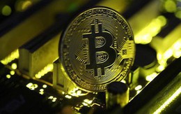 Bitcoin lao dốc vì nhà đầu tư ào sang bitcoin cash