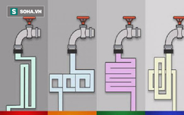 Vòi nước nào chảy nhanh nhất? Câu trả lời sẽ tiết lộ tài năng thiên bẩm của bạn