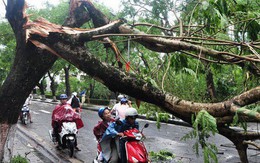 Cơn bão Tembin khi đổ bộ vào Nam Bộ có sức gió kinh hoàng đến thế nào?