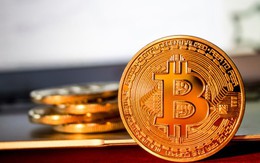 Bất chấp “cơn say” của nhà đầu tư, bitcoin vẫn chỉ là số 0