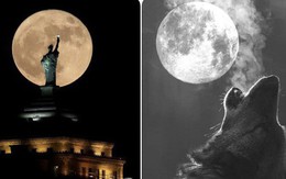 Trăng sói - siêu trăng đầu tiên của năm sẽ xuất hiện vào đúng 1/1/2018