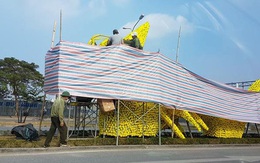 Hải Phòng chỉ đạo tháo gỡ hoa vàng trên hình con rồng gây tranh cãi ở đường Lê Hồng Phong