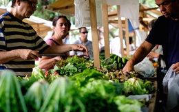 Thực phẩm hữu cơ - thị trường hứa hẹn có thêm nhiều triệu phú