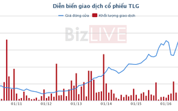 “Biến cố” đang xảy ra ở bút bi Thiên Long?