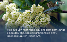 Bị hoa sữa "hành hạ", cư dân mạng than khóc người trồng không hiểu ý thơ ca