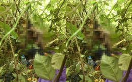 Phát hiện thi thể nam thanh niên trong bụi tre với dây buộc trên cổ