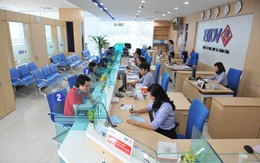 Hậu trường nghề tập sự ngân hàng