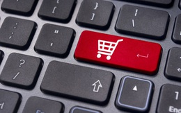 Mua “chui” và lướt sóng cổ phiếu HHC, nữ đại gia vừa lỗ 39 tỷ vừa bị phạt 125 triệu