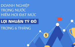 Doanh nghiệp Việt duy nhất đạt lợi nhuận tỷ đô trong 6 tháng đầu năm