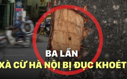 [VIDEO] Ba lần xà cừ Hà Nội bị đục khoét