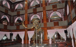 Cận cảnh tài sản khủng của đại gia vừa bị bắt Trầm Bê: Lâu đài, xương voi ma mút vô giá