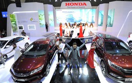 Honda, Toyota ngừng xuất xe sang Việt Nam vì Nghị định 116: Đừng lo, người dùng được lợi đấy!