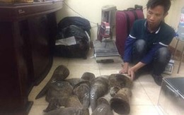 Vén màn bí mật của những “đại gia” cao hổ