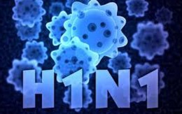 Hiểu đúng về dịch cúm A (H1N1)