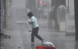 Sức gió mạnh kỷ lục, bão Trami 'càn quét', gây thiệt hại lớn ở Tokyo, Nhật Bản