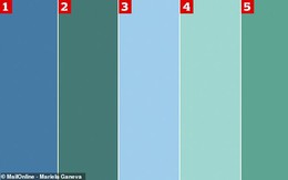 Nhìn bảng gồm 5 màu này, bạn có biết được đâu là màu xanh dương, đâu là màu xanh lá?