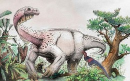 Phát hiện ra loài khủng long mới có kích thước 'siêu khủng'
