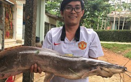 Quảng Nam: Cần thủ bắt được cá trê “khủng” dài 1 mét, nhiều người hỏi mua giá cao nhưng không bán