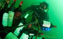 Ghé thăm thị trấn kỳ lạ nhất nước Pháp: Rượu vang chất đầy dưới đáy biển