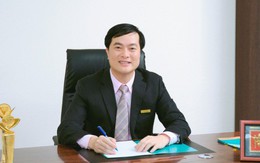 Bà Dương Thị Mai Hoa thôi giữ chức Tổng Giám đốc ABBANK