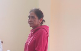 Mẹ vợ lấy trộm tiền con rể lãnh 7 năm tù
