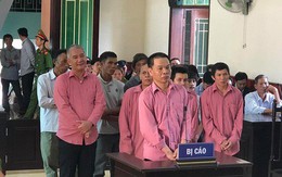 Xử vụ phá rừng lớn nhất Bình Định: 9 “lâm tặc” nhận 81 năm tù