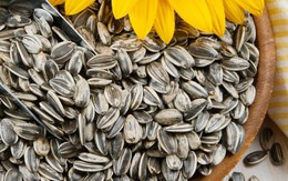 Hạt hướng dương có tốt cho sức khỏe không?