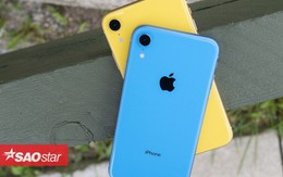 iPhone Xr có thể chụp thiếu sáng nhỉnh hơn iPhone Xs dù rẻ tiền hơn tận 250 USD, đây là lý do tại sao