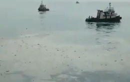 Video đầu tiên tại hiện trường máy bay Lion Air chìm dưới biển