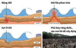 Vì sao sóng thần có thể hủy diệt mọi vật cản?