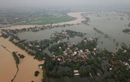 Hà Nội xử lý khẩn đê sông Bùi sau trận lũ lịch sử