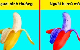 Ngắm nhìn thế giới qua con mắt của người bị mù màu: không chỉ toàn màu xám đen như bạn vẫn nghĩ