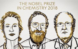 Nobel Hóa học 2018 vinh danh ba nhà khoa học tiến hóa
