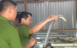 Mua nhớt thải ở các tiệm ô tô, xe máy về hô biến thành nhớt sạch để bán lấy lời