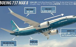 Boeing có dữ liệu độc quyền về máy bay Lion Air bị rơi?