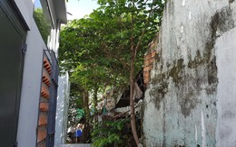 Người đàn ông ở trần tự vẫn trên cây trứng cá