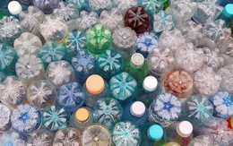 Phát hiện nhựa trong phân người: Đã đến lúc bạn cần quan tâm việc sử dụng nhựa hàng ngày